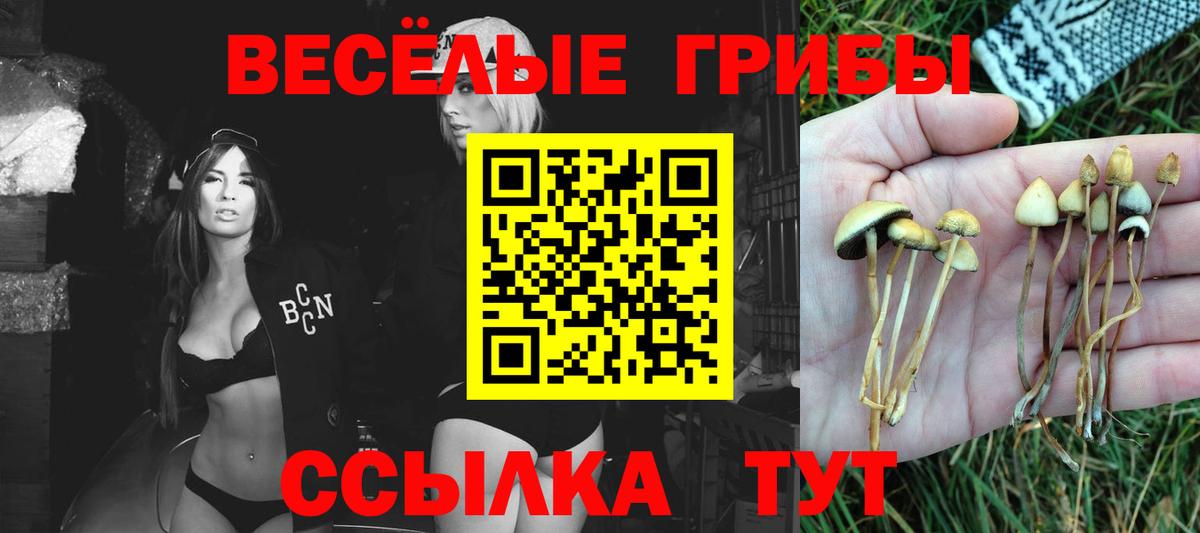Псилоцибиновые грибы Psilocybine cubensis  Галлюциногенные грибы Magic Shrooms  дарнет шоп  Вход с VPN  Магадан 